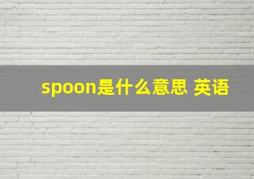 spoon是什么意思 英语